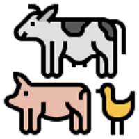 ANIMAL