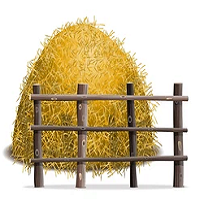 CATTLE FEED & CARE