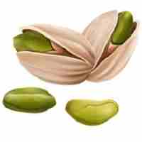PISTACHIO