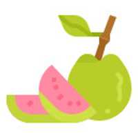 GUAVA