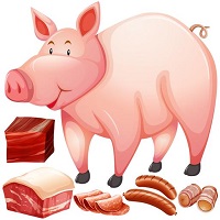 PIG MEAT