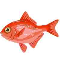 FISH