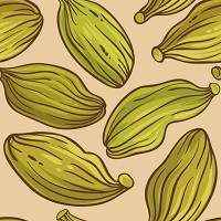GREEN CARDAMOM (CCHOTI ILAYACHI)