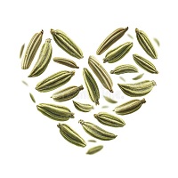 FENNEL (SAUNF)