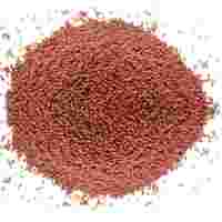 MUSTARD SEEDS (RAI)