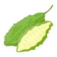 BITTER GOURD