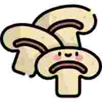 MUSHROOMS - BUTTON