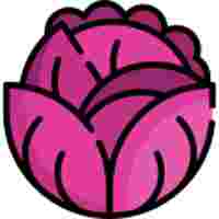 CABBAGE RED
