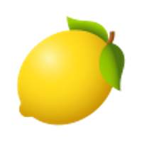 TOMATO CHERRY YELLOW