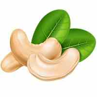 CASHEW NUT