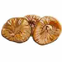 FIG