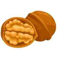WALNUTS