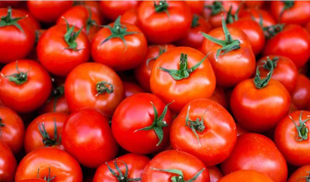 Desi Tomato