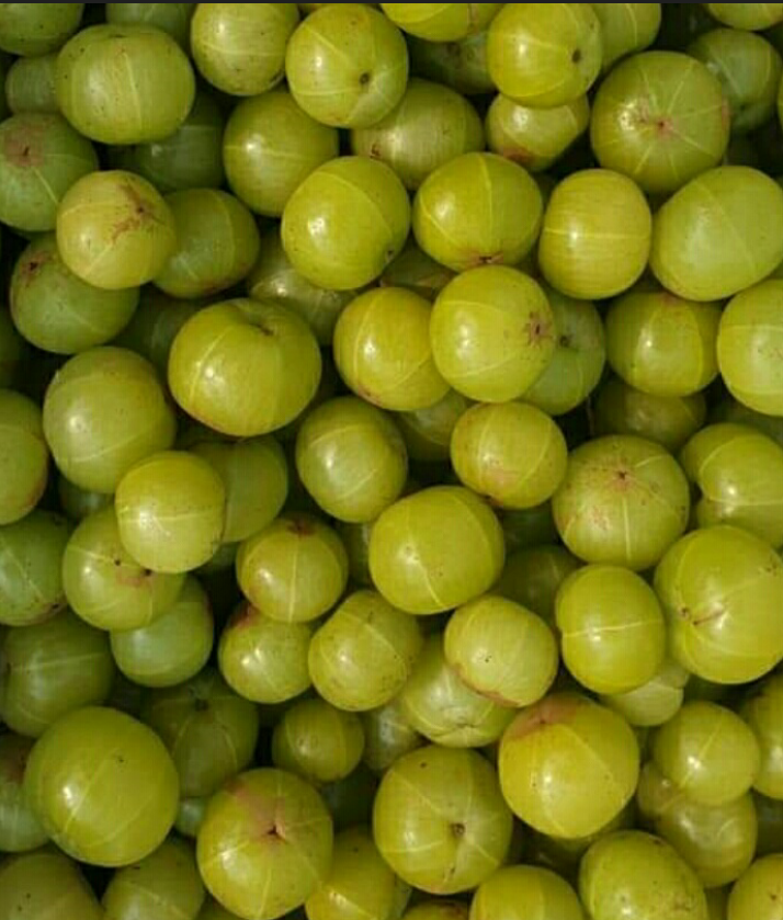 Green Amla