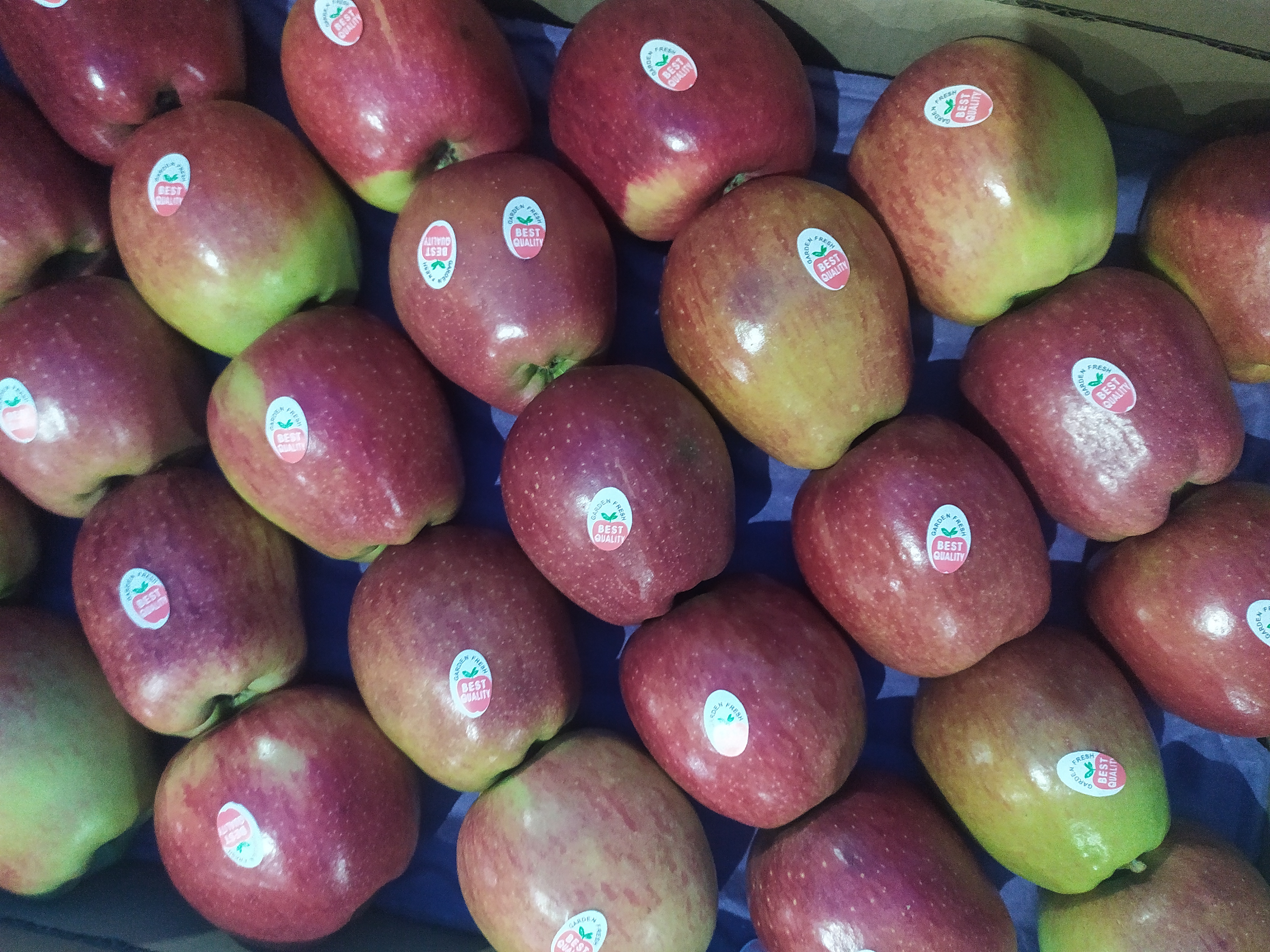 Delicious Apple