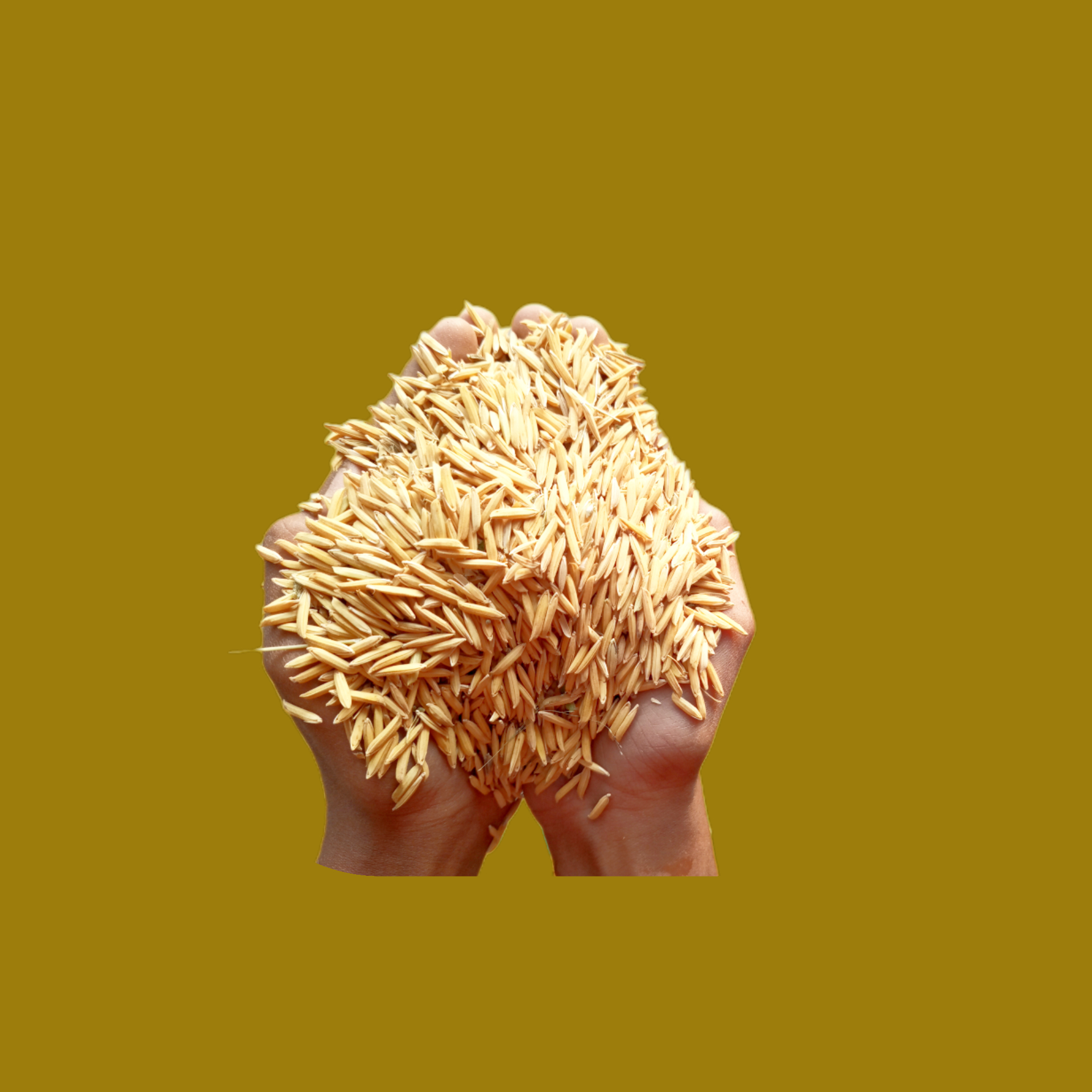 basmati rice 1718/