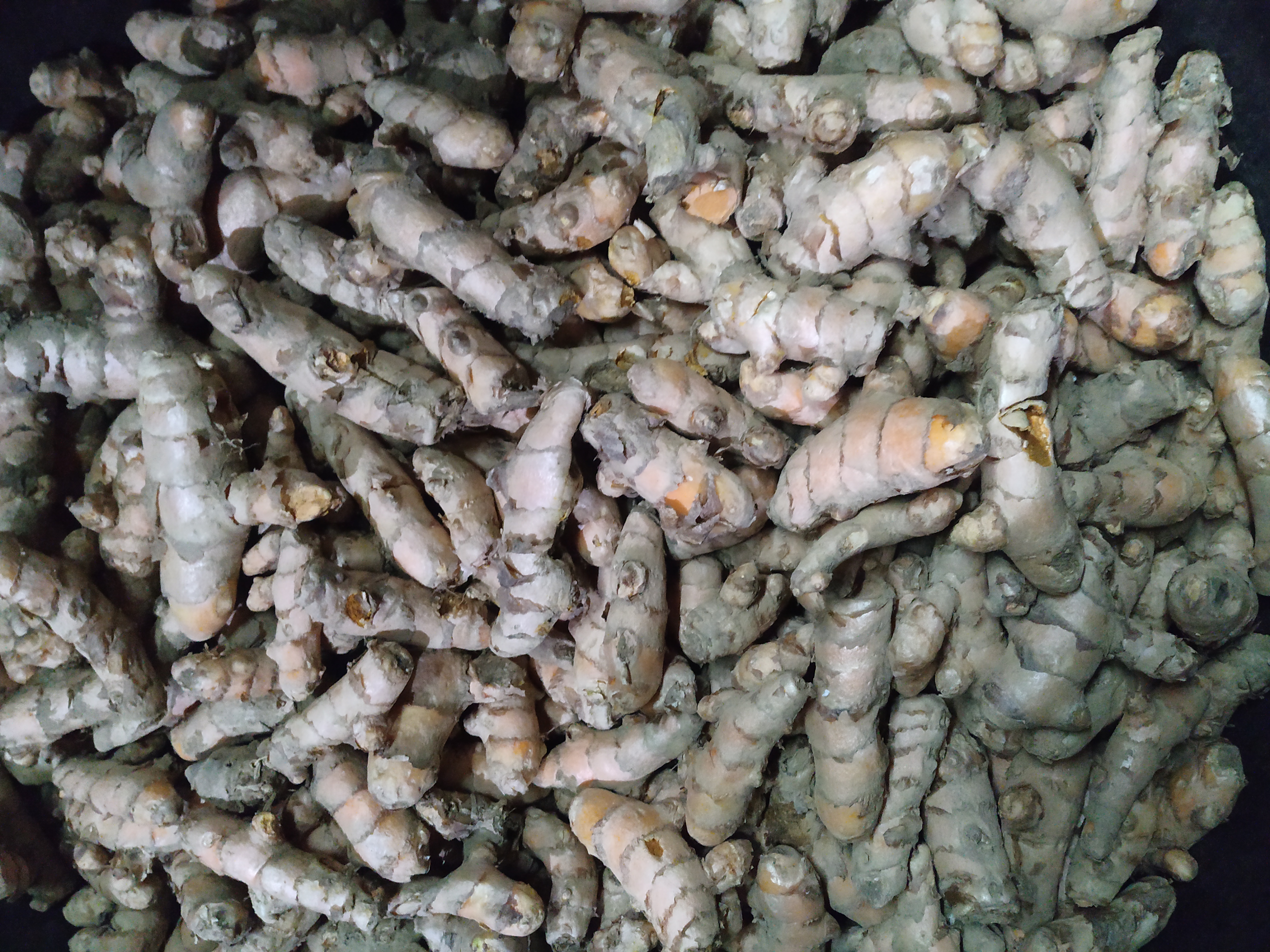 organic turmeric 