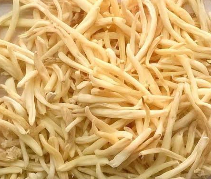 Sfed musli