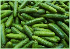 Cucumber 