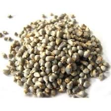 Bajra