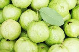 guava