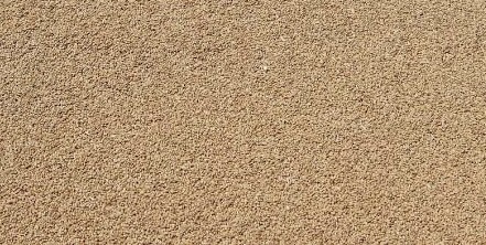 WHEAT