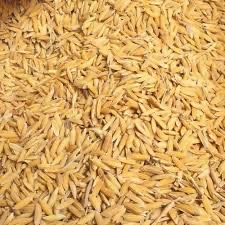 Rice Sarbati
