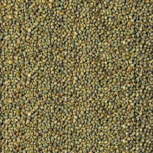 Rajasthani Bajri