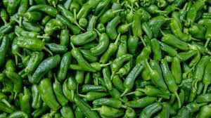 green chili 