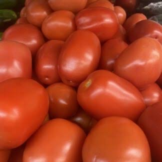 Tomato