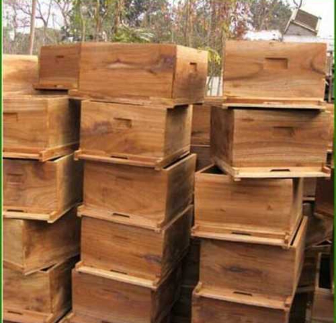 Bee box