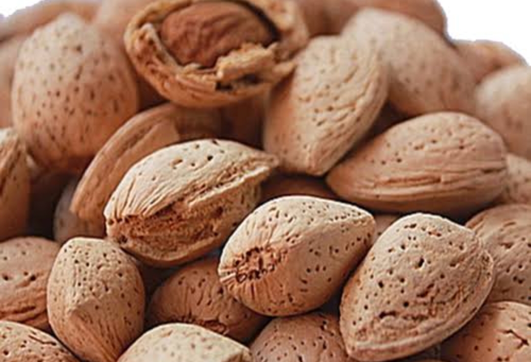 badam