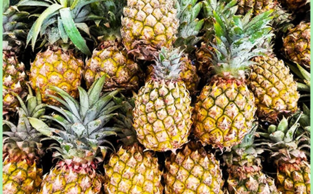 pineapple 