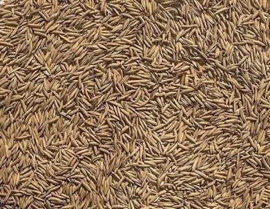 BASMATI RICE