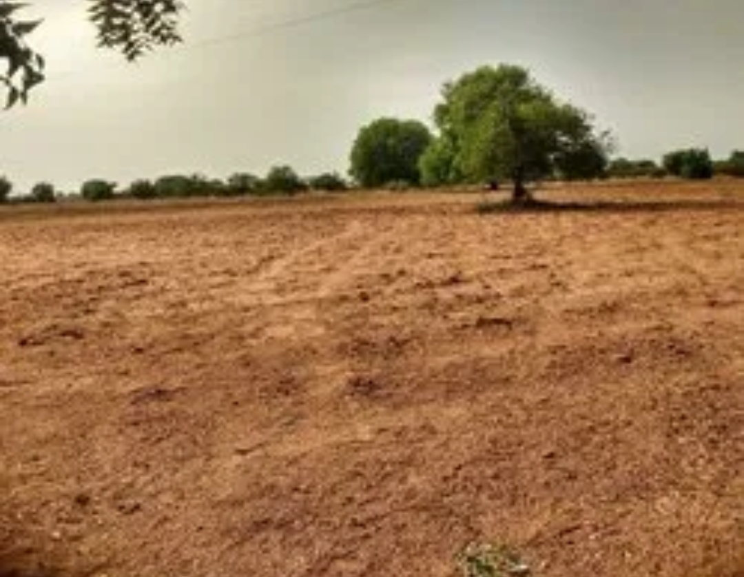 land
