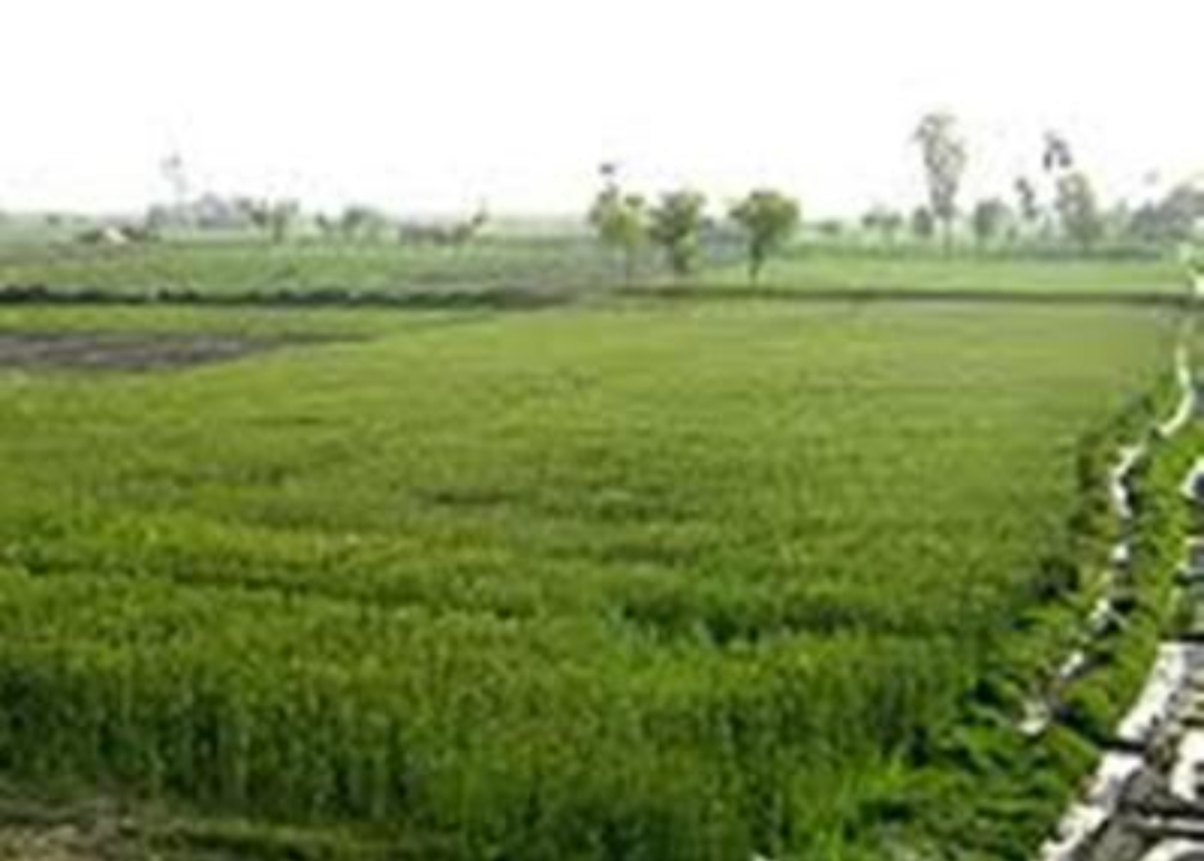 land
