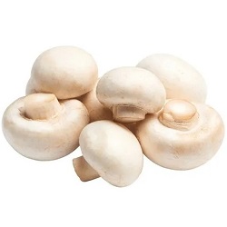 Mushrooms