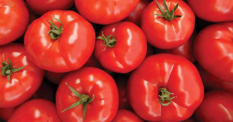TOMATO 