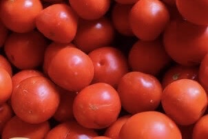 Tomato