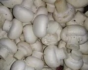 Mushrooms