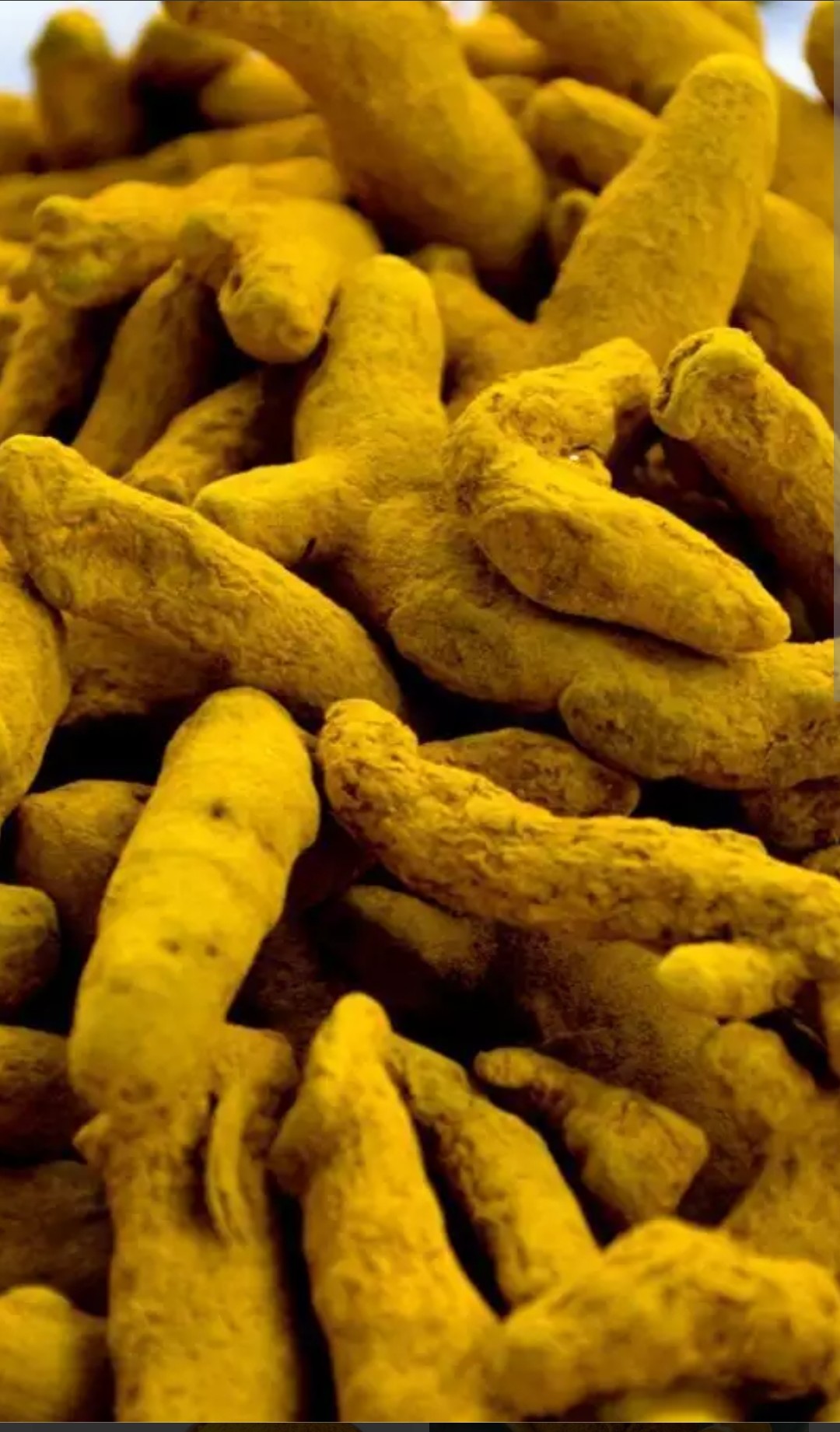 Haldi