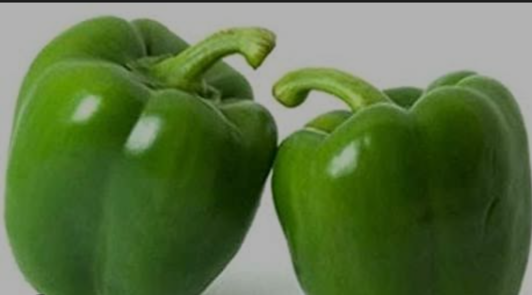 Capsicum 