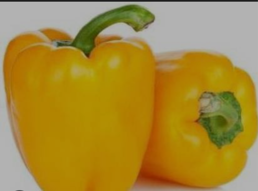 Capsicum Yellow 