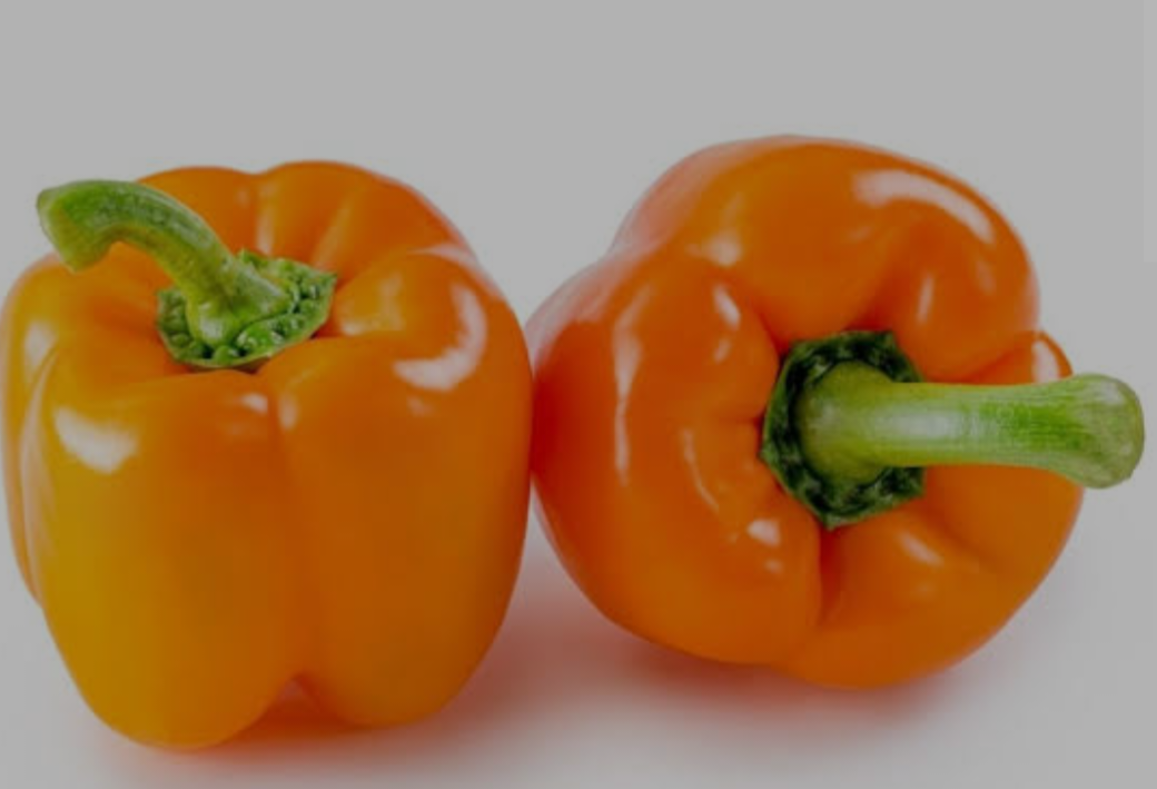 Capsicum Orange 
