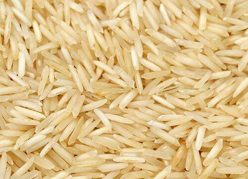 Basmati 30