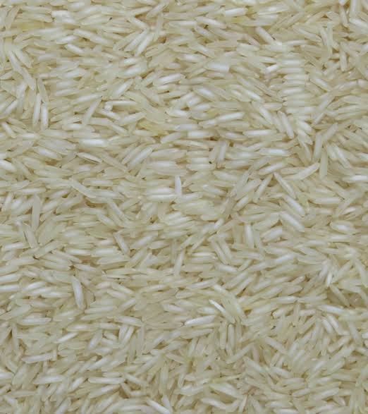 Basmati 1121 