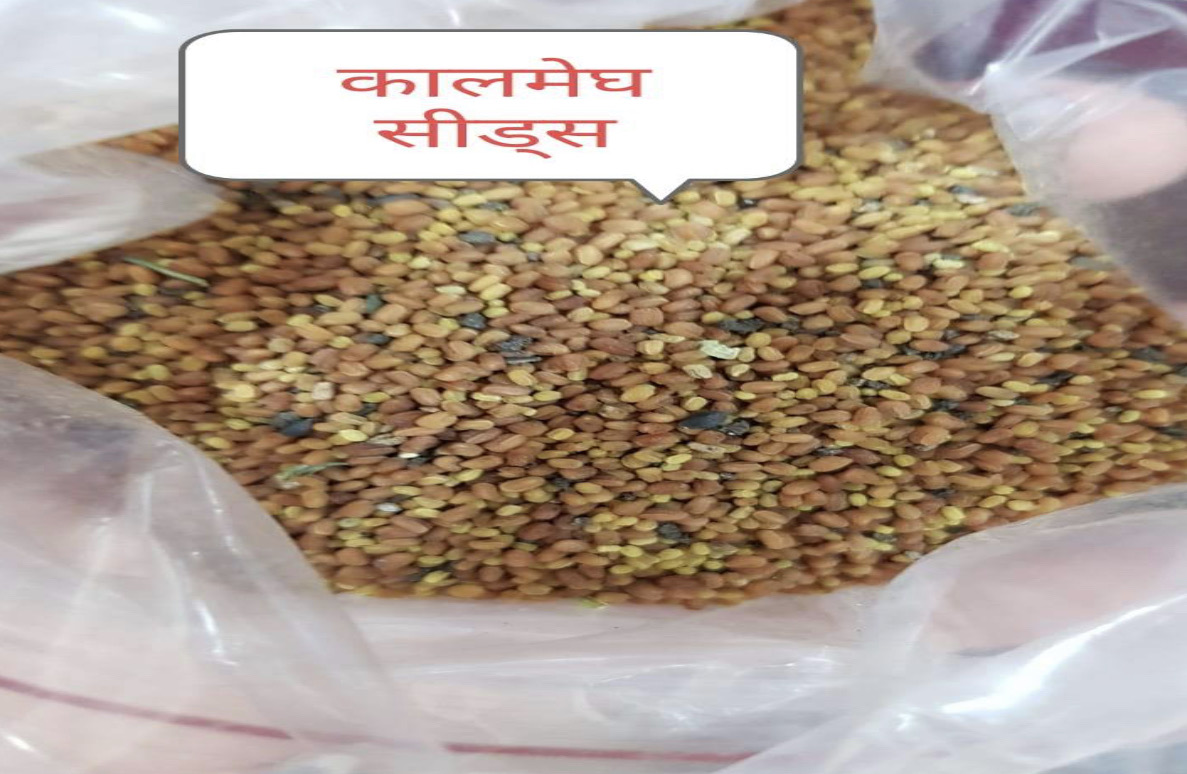 KALMEGH SEEDS