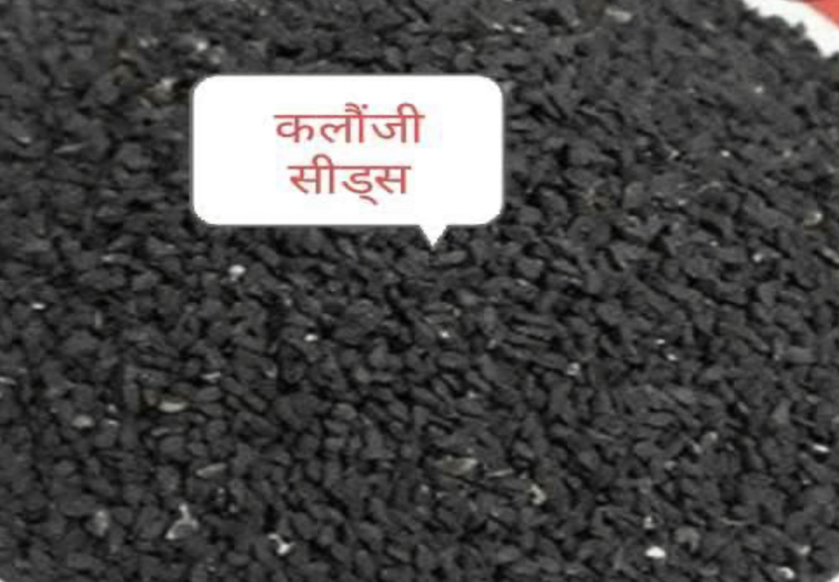 KALONJI SEEDS