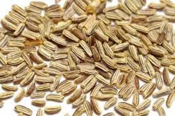 Cemomil Seeds