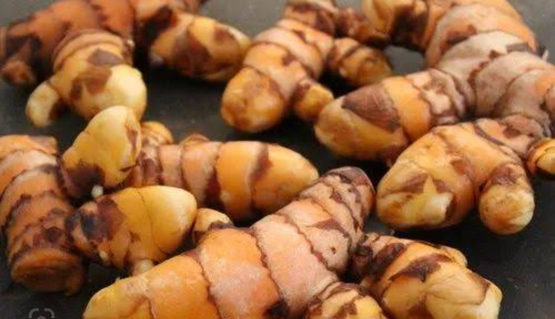 Kachi haldi